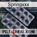 Springxxx 31